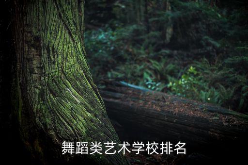 舞蹈类艺术学校排名