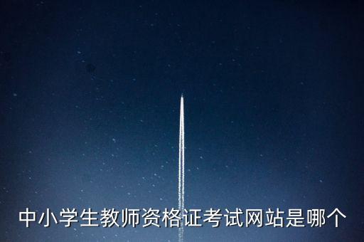 中小学生教师资格证考试网站是哪个