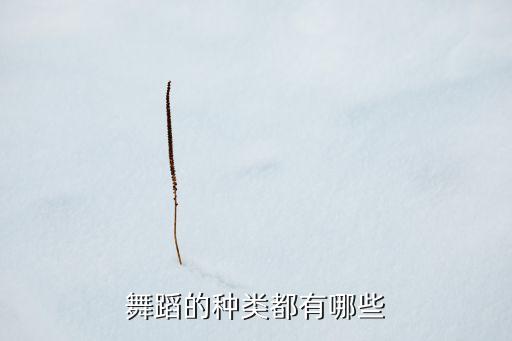 舞蹈的种类都有哪些
