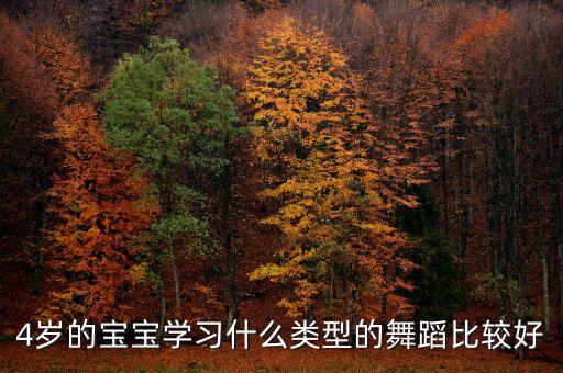 4岁的宝宝学习什么类型的舞蹈比较好