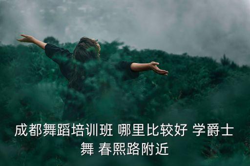 成都舞蹈培训班 哪里比较好 学爵士舞 春熙路附近