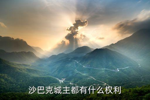 沙巴克城主都有什么权利