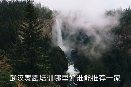 武汉舞蹈培训哪里好谁能推荐一家