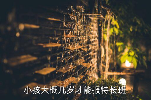 小孩大概几岁才能报特长班