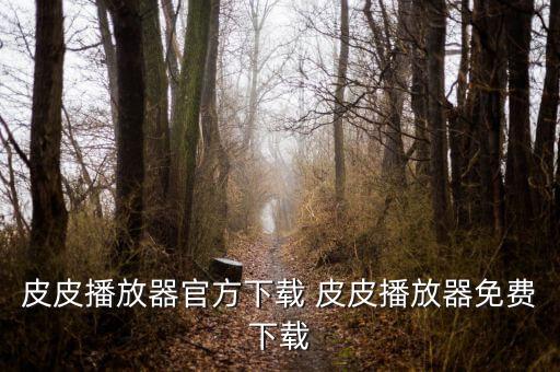 快手极速版下载正版1 1，为什么价钱差一倍下载版是什么为什么价格要低一些
