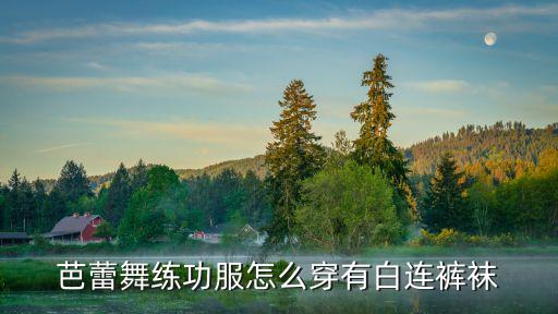芭蕾舞练功服怎么穿有白连裤袜