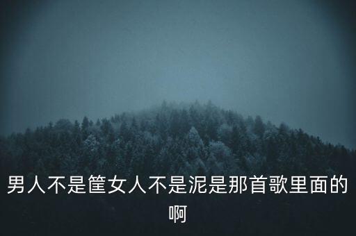 男人不是筐女人不是泥是那首歌里面的啊