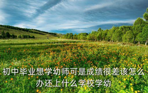 初中毕业想学幼师可是成绩很差该怎么办还上什么学校学幼
