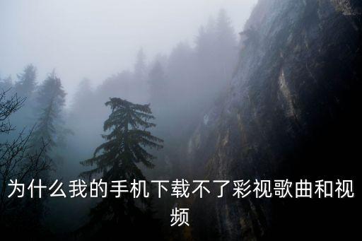 为什么我的手机下载不了彩视歌曲和视频