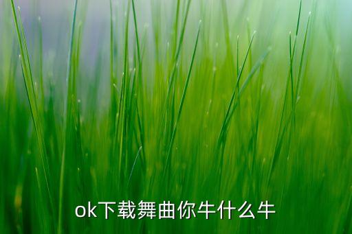 你牛什么牛的舞蹈视频下载，广场舞你牛甚么牛mp3