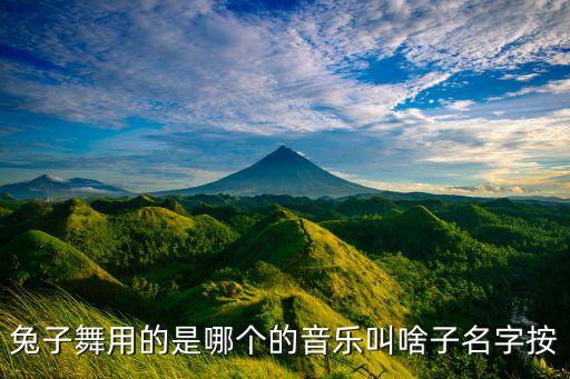 兔子舞用的是哪个的音乐叫啥子名字按