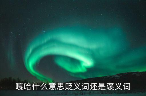 噶舞是什么意思，旋舞为什么不能玩这是什么意思