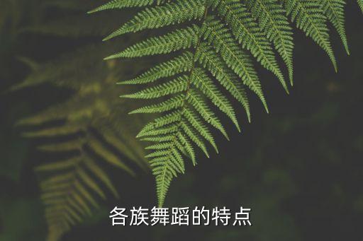 各族舞蹈的特点