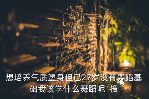 成人想训练气质应该学什么舞，想培养气质塑身但已27岁没有舞蹈基础我该学什么舞蹈呢  搜
