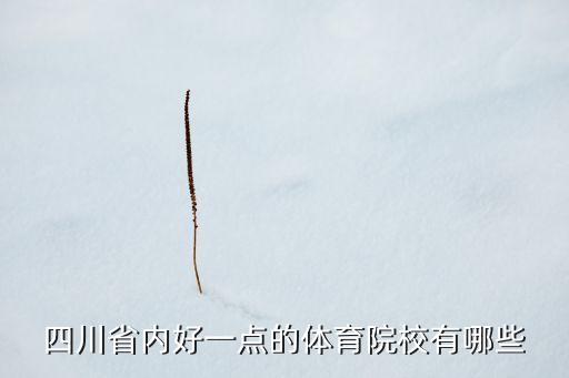 四川省内好一点的体育院校有哪些