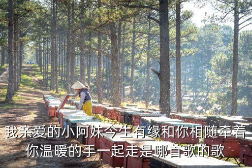 爱上小阿妹是什么歌，歌词有小妹妹我爱上了你一生一世伴着你是什么歌