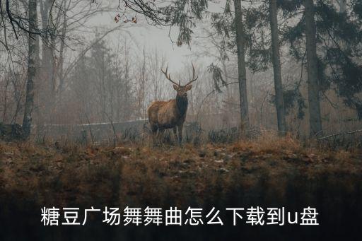 糖豆广场舞舞曲怎么下载到u盘