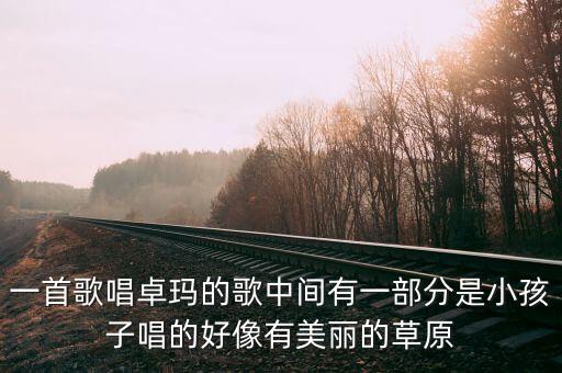 一首歌唱卓玛的歌中间有一部分是小孩子唱的好像有美丽的草原