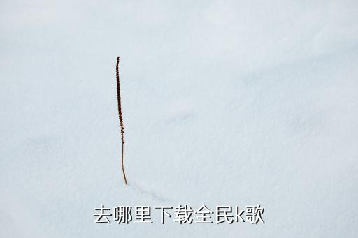 去哪里下载全民k歌