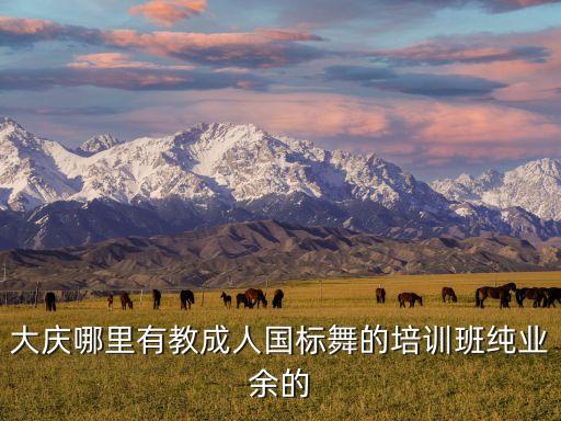 成人中国舞培训，大庆哪里有教成人国标舞的培训班纯业余的
