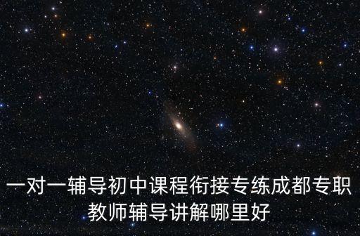 一对一辅导初中课程衔接专练成都专职教师辅导讲解哪里好