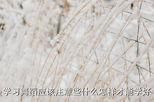 学习舞蹈应该注意些什么怎样才能学好