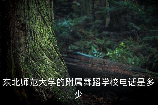 东北师范大学的附属舞蹈学校电话是多少