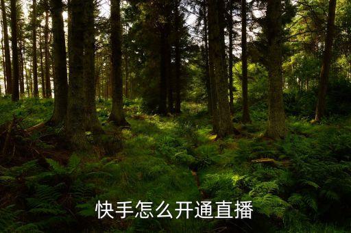 快手怎么开通直播