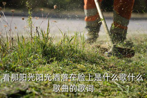 看那阳光阳光洒落在脸上是什么歌什么歌曲的歌词