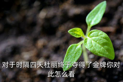 对于时隔四天杜丽终于夺得了金牌你对此怎么看