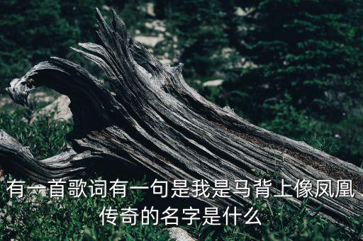 有一首歌词有一句是我是马背上像凤凰传奇的名字是什么