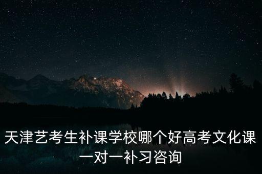 天津新青年艺考培训学校，天津哪有艺考专业培训呀