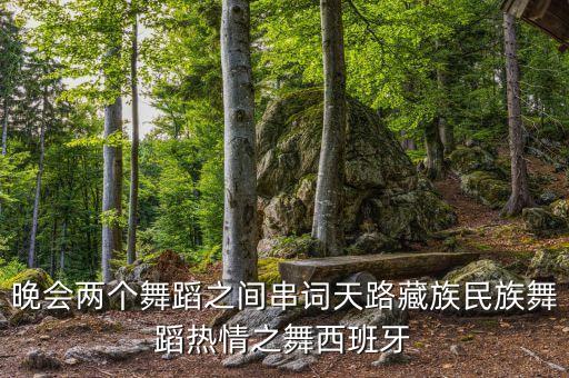 情什么天路舞蹈视频播放，千姿百色的舞蹈视频