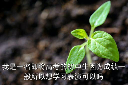 初中生成绩一般建议走艺术吗，我是一名初中生成绩很差可以去考艺术学校吗