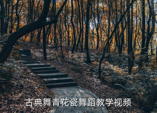 古典舞青花瓷舞蹈教学视频