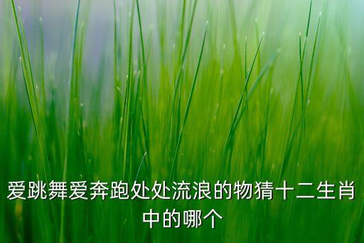 爱跳舞爱奔跑处处流浪的物猜十二生肖中的哪个