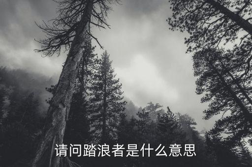 踏浪跳跃什么意思，踏浪是什么意思
