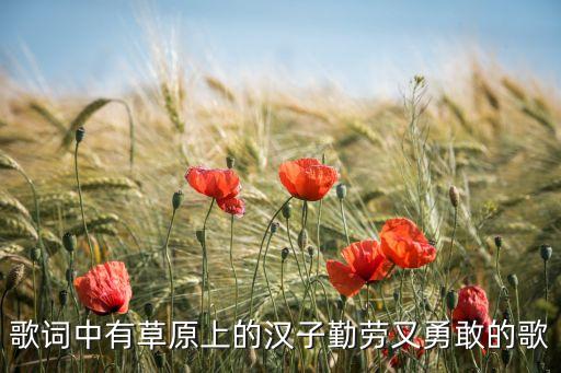 草原上的汉子什么歌，问一首的名字