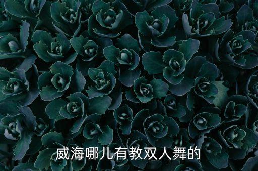 哪里有教跳双人舞，泰州华润附近哪里有跳双人舞的地方
