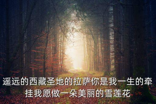 遥远的西藏圣地的拉萨你是我一生的牵挂我愿做一朵美丽的雪莲花