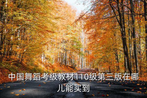 中国舞蹈考级教材110级第三版在哪儿能买到