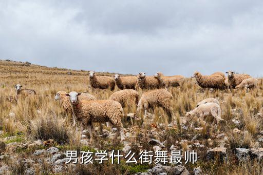 男孩学什么街舞最帅