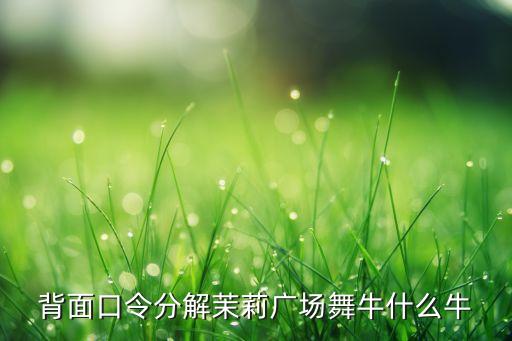 背面口令分解茉莉广场舞牛什么牛