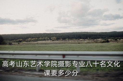 高考山东艺术学院摄影专业八十名文化课要多少分