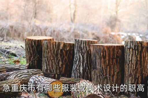 急重庆市有哪些服装或美术设计的职高