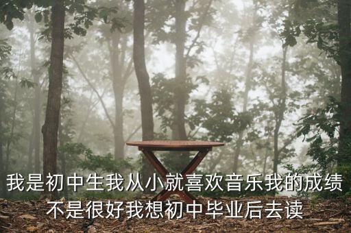 我是初中生我从小就喜欢音乐我的成绩不是很好我想初中毕业后去读