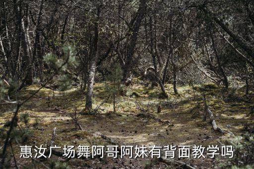 惠汝广场舞阿哥阿妹有背面教学吗