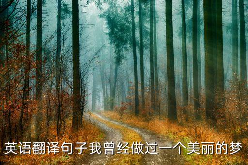 英语翻译句子我曾经做过一个美丽的梦