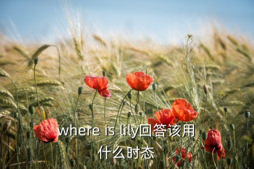 莉莉你在哪里，莉莉你在哪