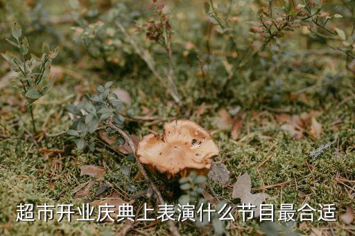 超市开业庆典上表演什么节目最合适